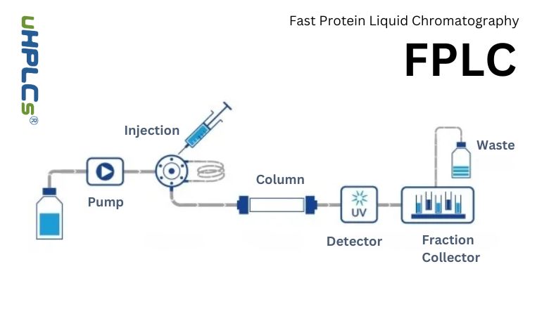 Fast Protein Liquid Chromatography