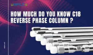 How Much Do You Know C18 Reverse Phase Column