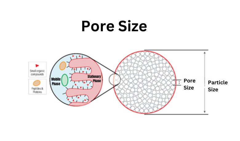 Pore Size of HPLC Columns