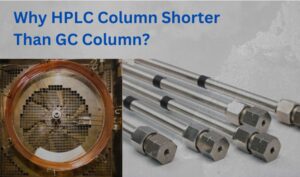 Why HPLC Column Shorter Than GC Column