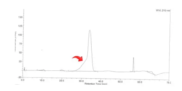 Effects of Fronting Peak