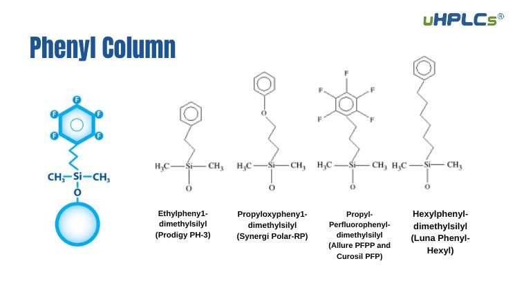 Phenyl Column in HPLC Column