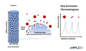 HPLC Size Exclusion Full Guide - uHPLCs