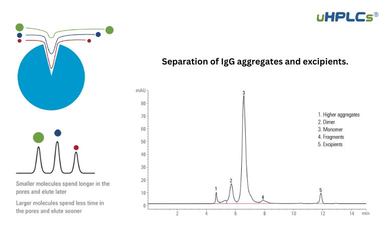 Separation of IgG aggregates and excipients