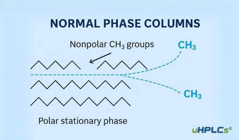 Normal Phase Columns working principle diagram