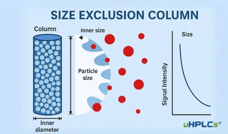 Size Exclusion Columns working principle diagram