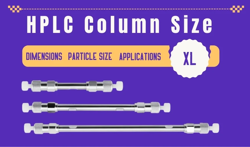 HPLC Column Size Complete Guide to Dimensions, Particle Size, and Applications